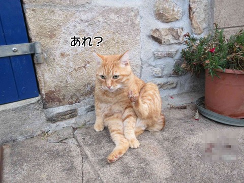 留守 3
