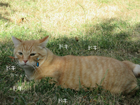 BlogPaint