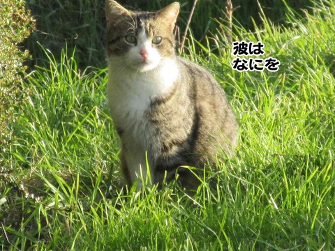4月5日 3