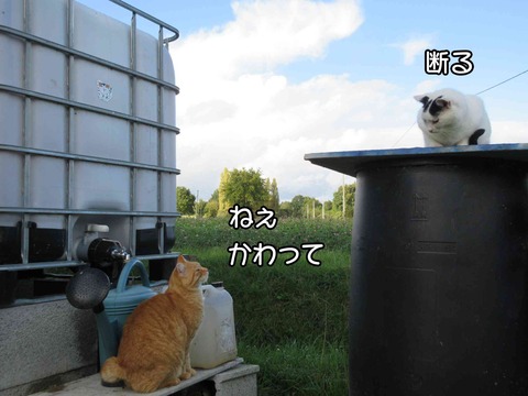 かわって 1