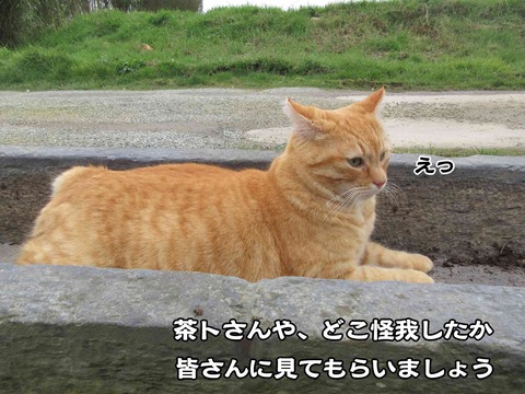 反省してる 1