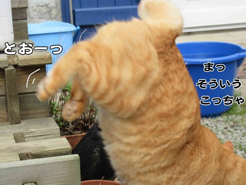 れ~ろ 9