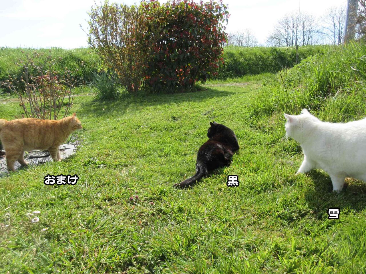 警察への襲撃事件 軽すぎる刑罰 ソワレが要らないフランス暮らし 警察への襲撃事件 軽すぎる刑罰 ソワレが要らないフランス暮らし