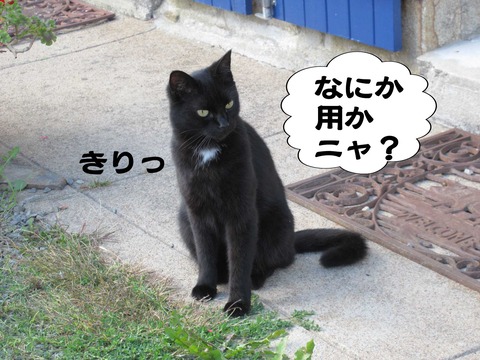 きた 15