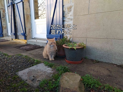 あそぼ 3