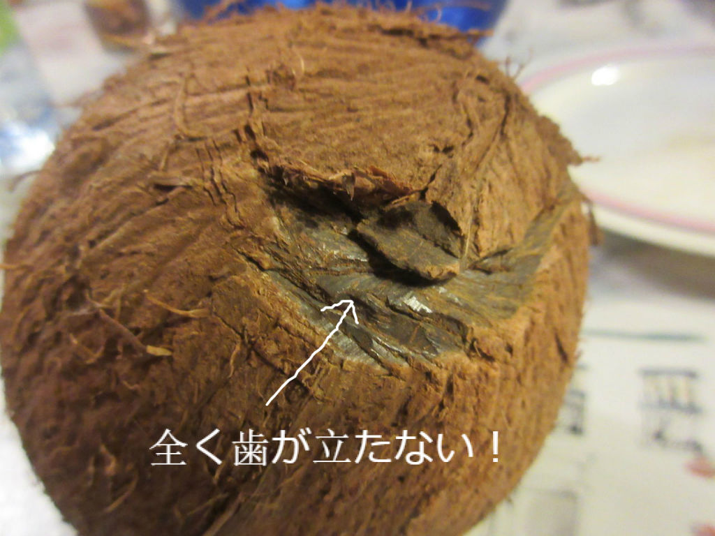 ヤシの実どうやって食べるん ソワレが要らないフランス暮らし