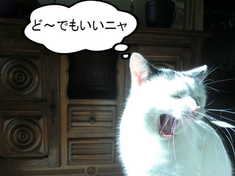 BlogPaint