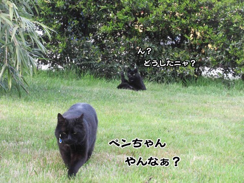 誰やねん 4
