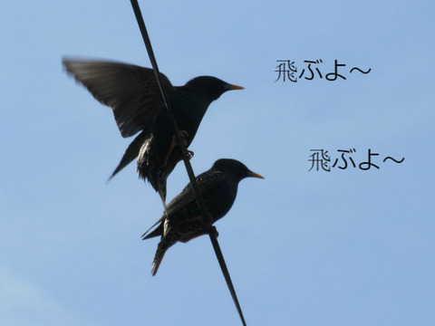 BlogPaint