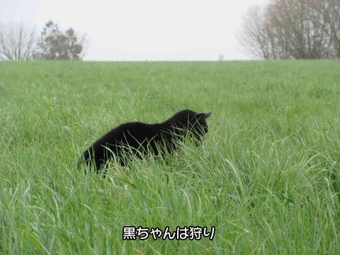 どこへ行く 6