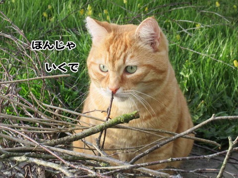 4月5日 5