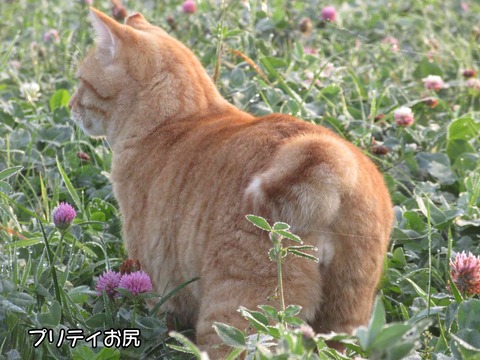 霧の中 4