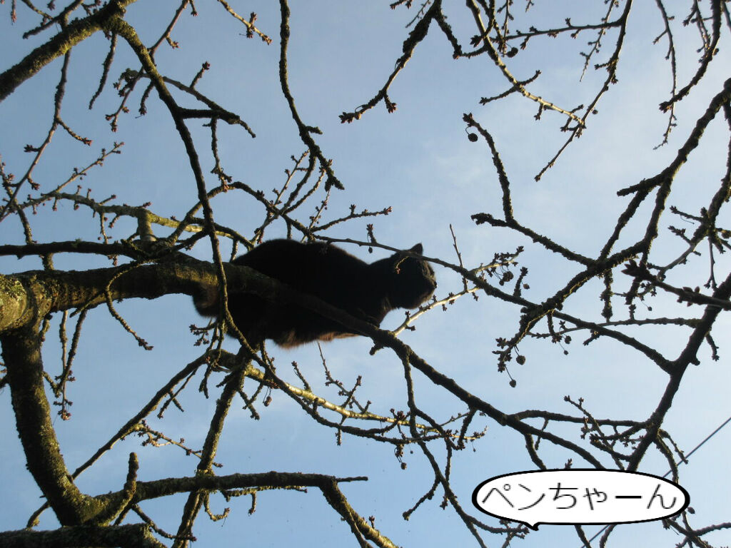 ユーゴーなの ウゴなの ソワレが要らないフランス暮らし