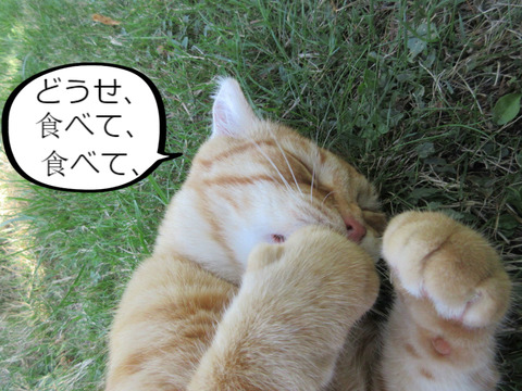 BlogPaint