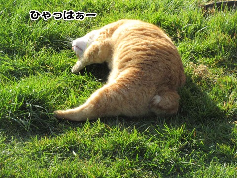 すーはー 4