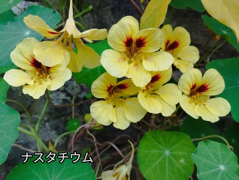 IMG_20251107_222806