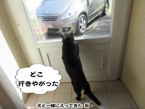 マリノア 7