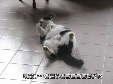 クッキーちゃん 3