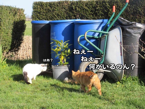 手伝う 4