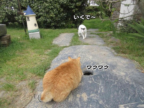 暇 6