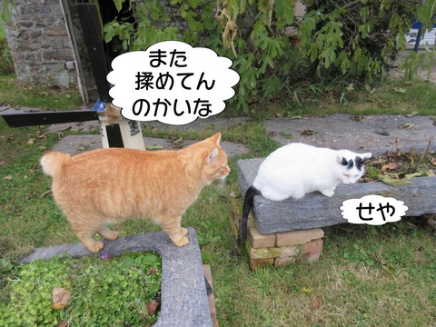 揉める 1