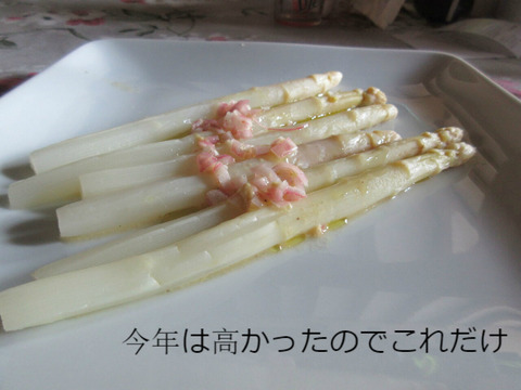 BlogPaint