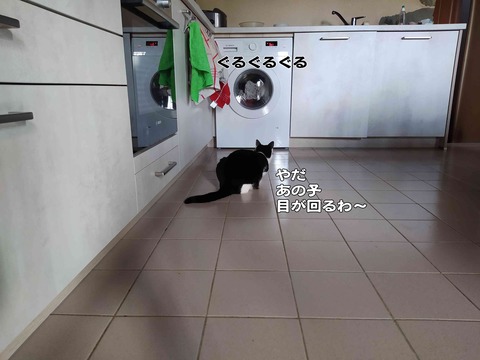 変わってる 4