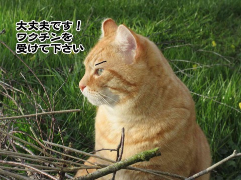 4月5日 7