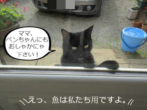 BlogPaint