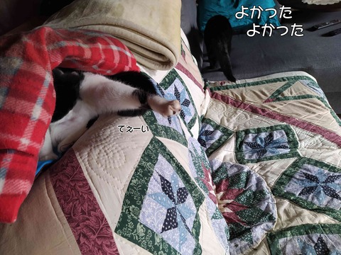 クッキーちゃん 4