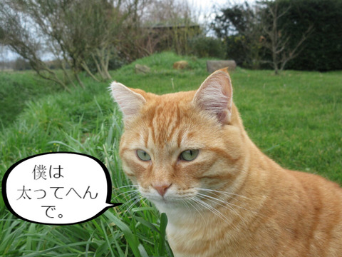 BlogPaint