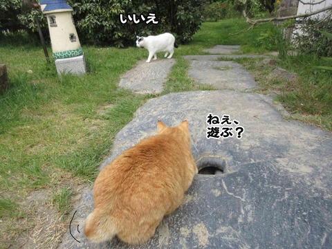 暇 4