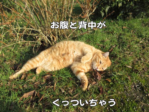 行き倒れ 3