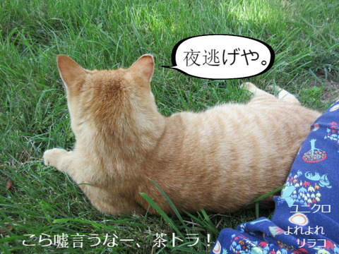 BlogPaint