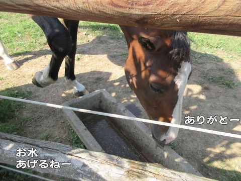 ぴざ 3