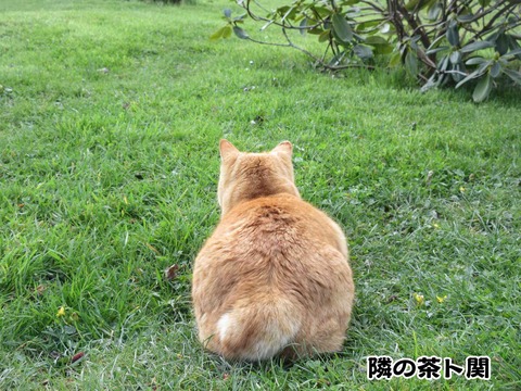 あなたはどっち 3