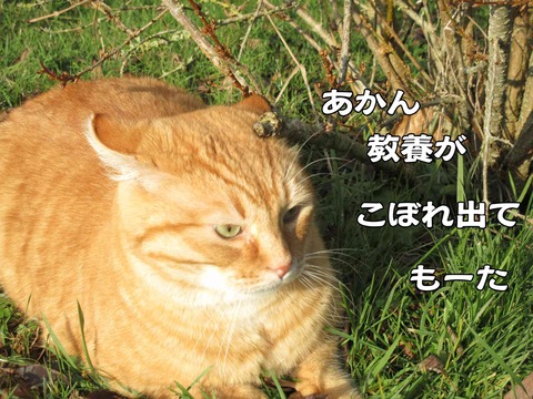行き倒れ 8