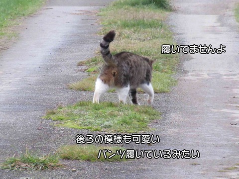 後ろ姿　4
