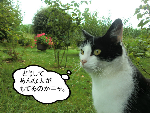 BlogPaint