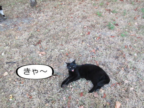 BlogPaint