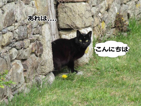 誰やねん 5