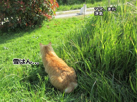 びよーん 5