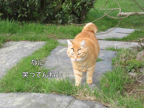 おそろい 3