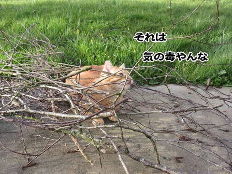 4月5日 1