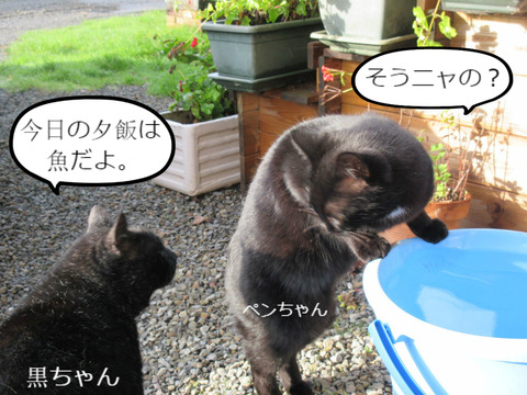 BlogPaint