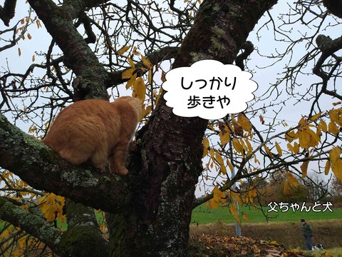 見てる 4