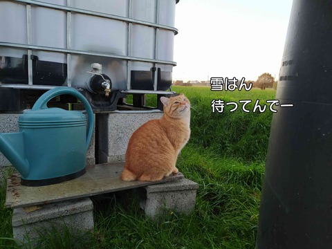 雨 5