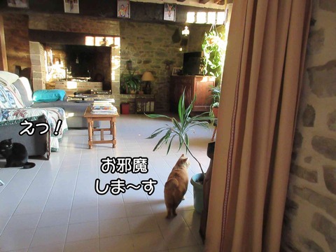 お邪魔します 3