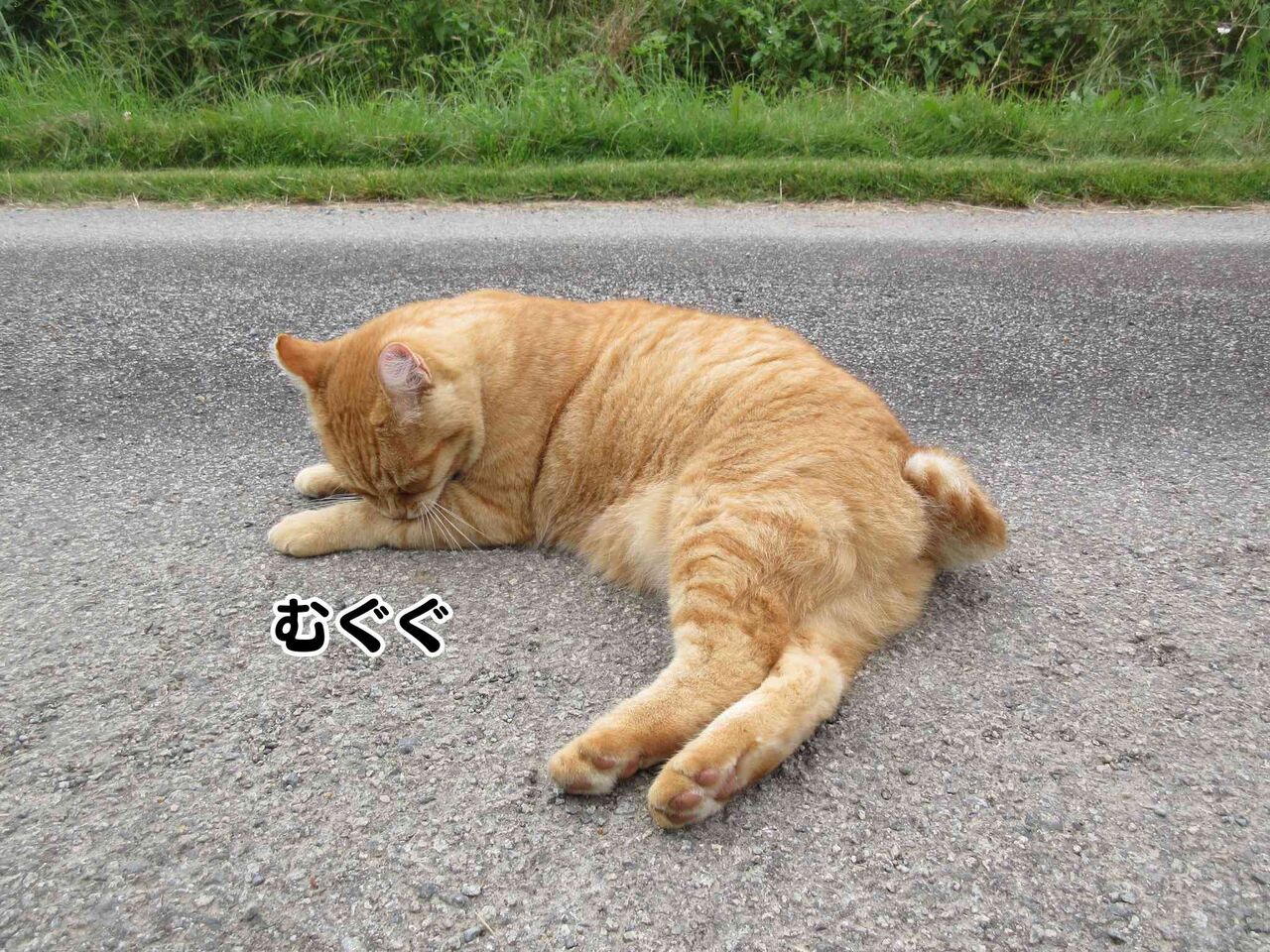 マルセイユ市で14歳の少年が撃たれて死亡 ソワレが要らないフランス暮らし