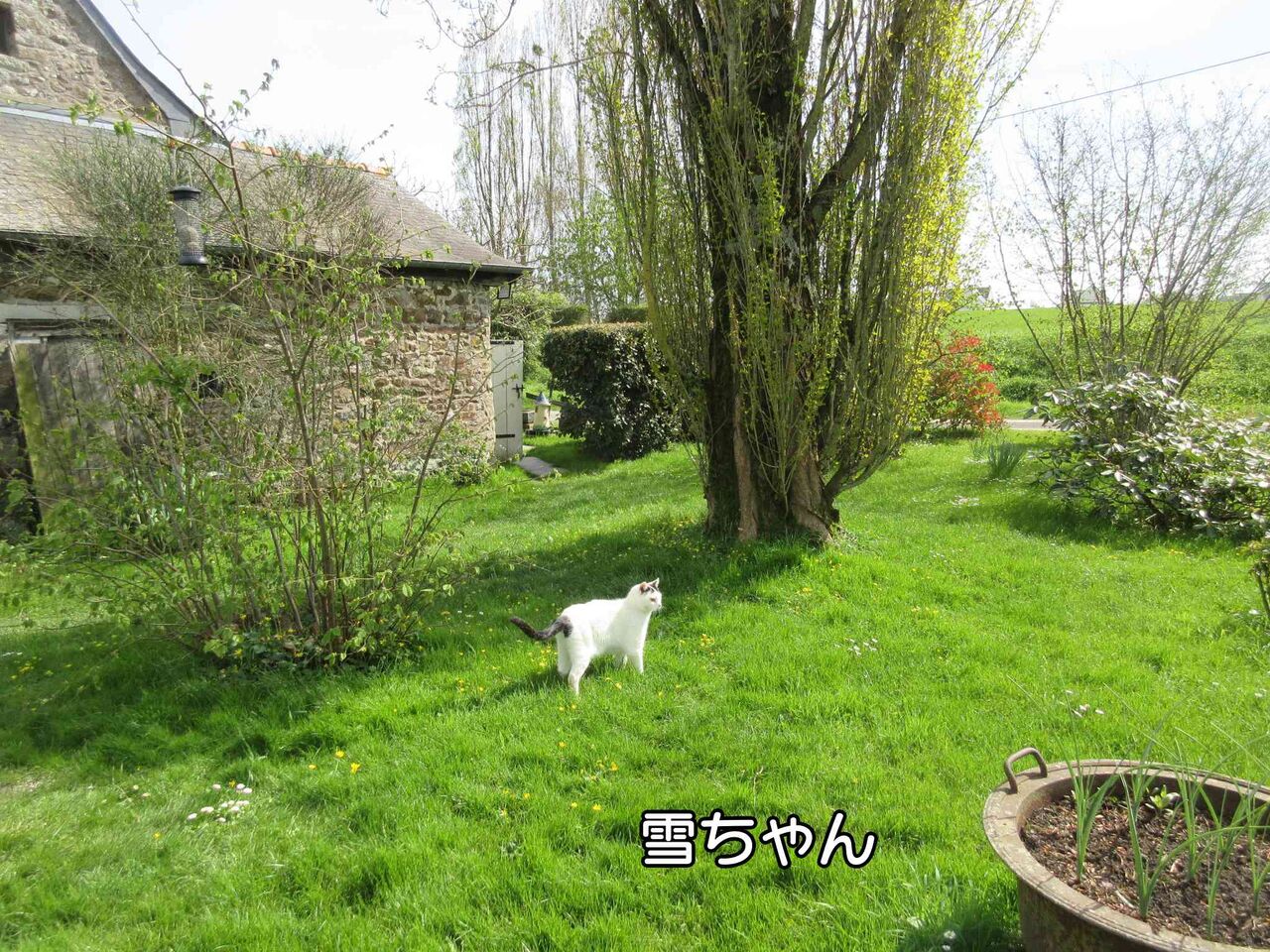 仏大統領選マクロン氏とル ペン氏が決戦投票へ ソワレが要らないフランス暮らし